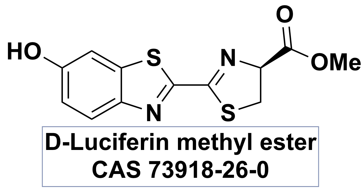 D-荧光素甲酯,D-Luciferin methyl ester