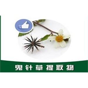 鬼针草提取物,Bidens bipinnata extract