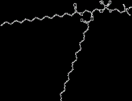 二棕榈酰磷酯酰胆碱,1,2-DIHEXADECANOYL-SN-GLYCERO-3-