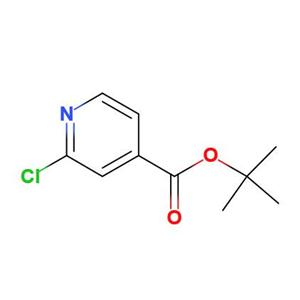 2-氯异烟酸叔丁酯