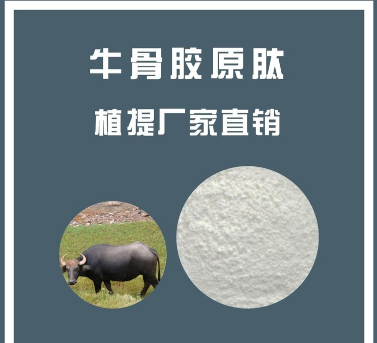 牛骨胶原肽98%,9/5000   Bovine bone collagen peptide 98%