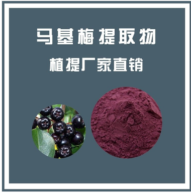 马基梅提取物,Machetum extract