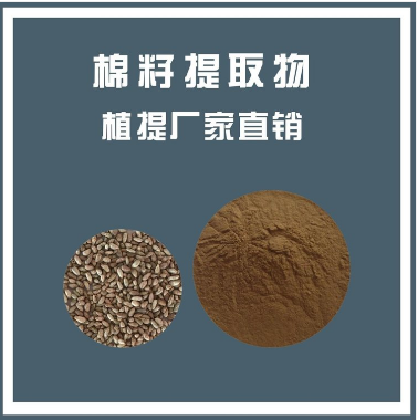 棉籽提取物,Cottonseed extract