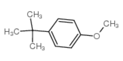 叔丁基茴香醚,4-tert-butylanisole