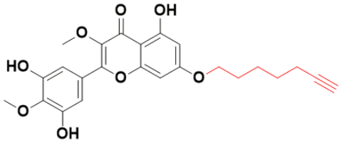 端炔杨梅素-2,2-(3,5-dihydroxy-4-methoxyphenyl)-7-(hept-6-yn-1-yloxy)-5-hydroxy-3-methoxy-4H-chromen-4-one