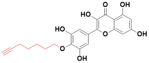 端炔杨梅素-5,2-(4-(hept-6-yn-1-yloxy)-3,5-dihydroxyphenyl)-3,5,7-trihydroxy-4H-chromen-4-one