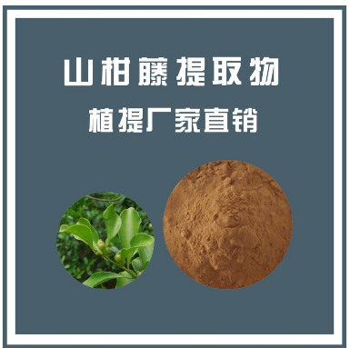 山柑藤提取物,Caper vine extract