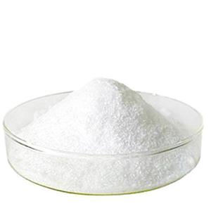 盐酸二甲卡因