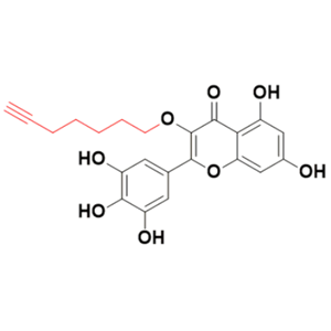 端炔杨梅素-4,3-(hept-6-yn-1-yloxy)-5,7-dihydroxy-2-(3,4,5-trihydroxyphenyl)-4H-chromen-4-one