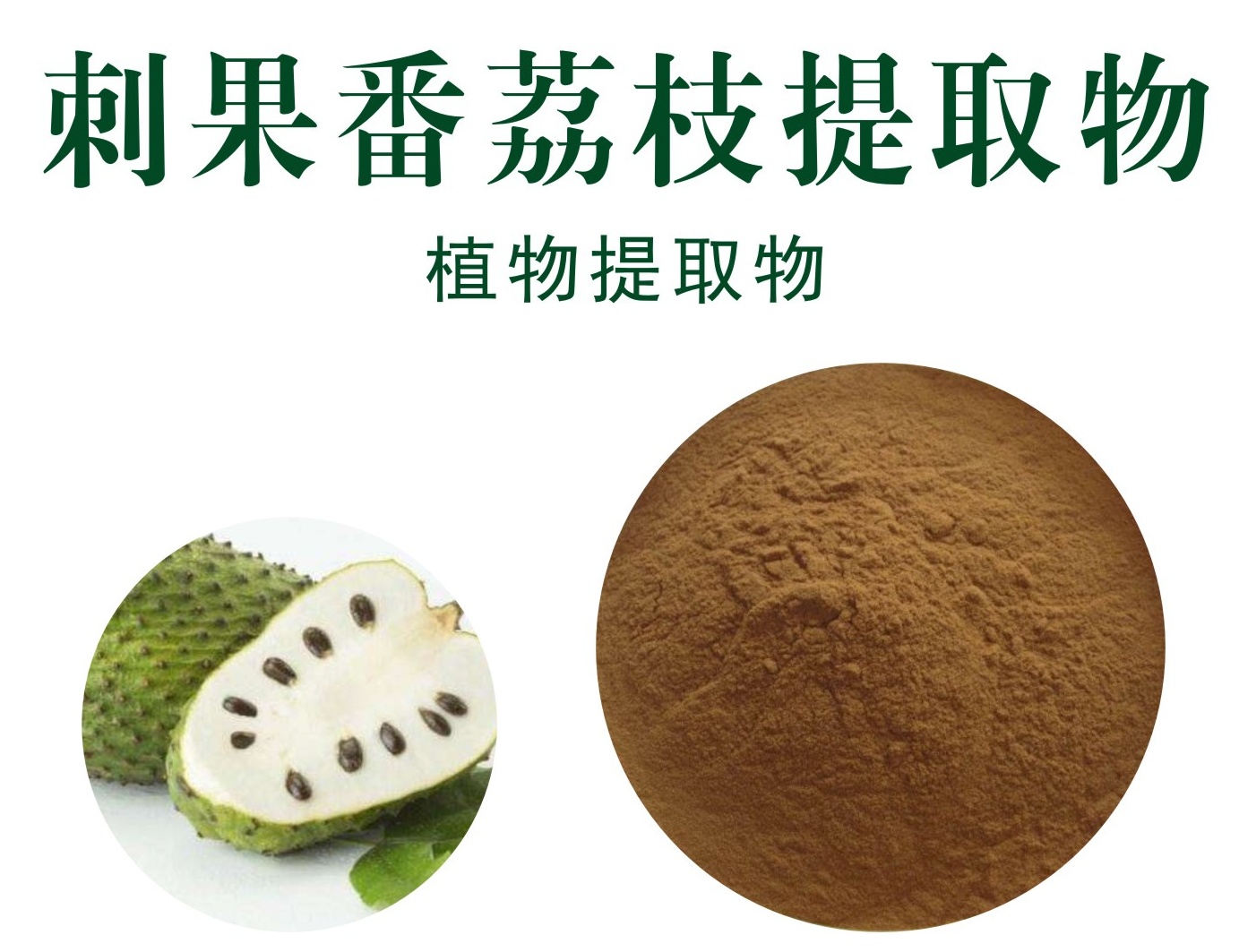 刺果番荔枝叶提取物,Bur cherimoya leaf extract