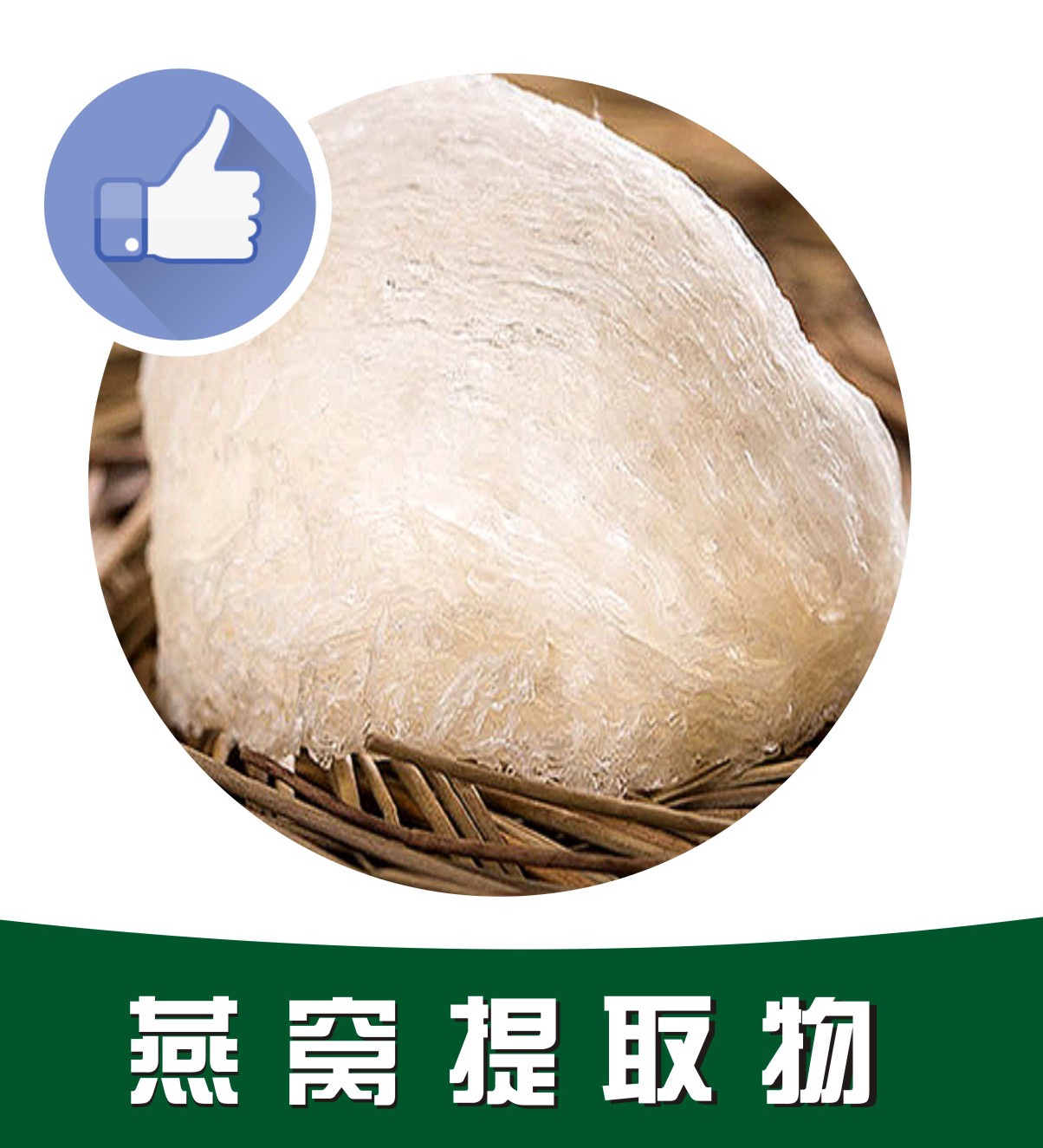 燕窩提取物,Avian nest extract