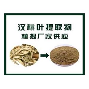 漢桃葉提取物,Peach leaf extract