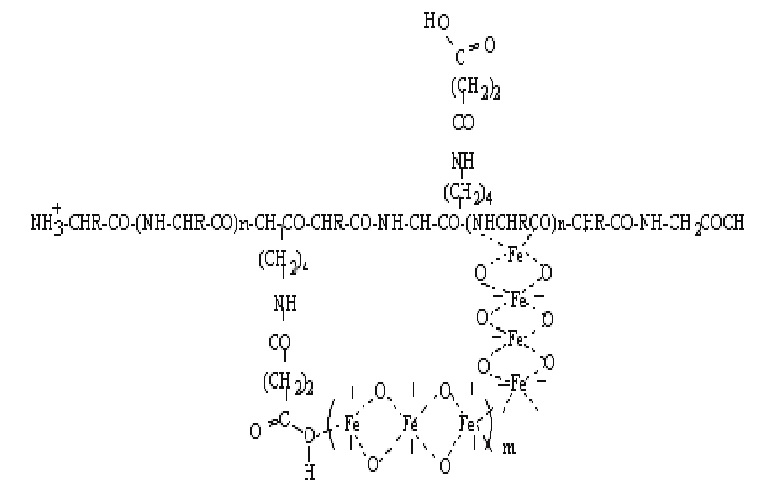 蛋白琥珀酸铁,Iron protein succinylate