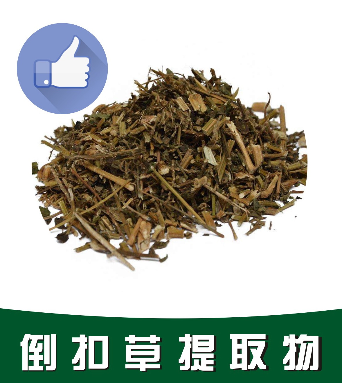 倒扣草提取物,Inverted grass Extract