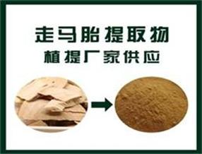 走马胎提取物,Horse fetus extract