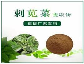 刺苋菜提取物,Amaranthus spinosus extract