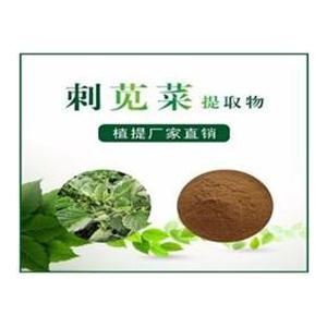 刺苋菜提取物,Amaranthus spinosus extract