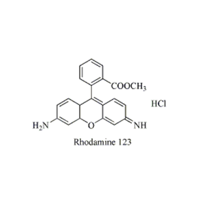罗丹明123,Rhodamine 123 .