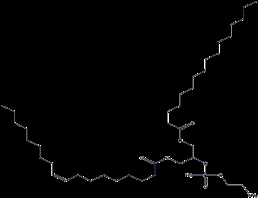 1-palmitoyl-3-oleoyl-sn-glycero-2-phosphatidylethanolamine