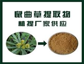 鼠曲草提取物,Gnaphalium extract