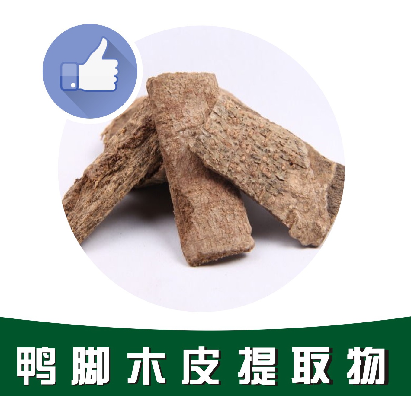 鴨腳木皮提取物,Duck feet bark extract