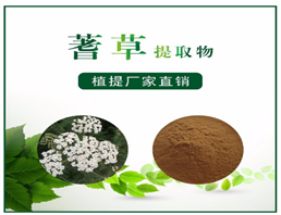 蓍草提取物,Yarrow extract