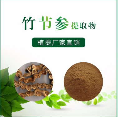 竹節(jié)參提取物,Panax japonicus extract