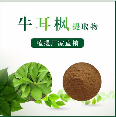 牛耳枫提取物,Acer truncatum extract