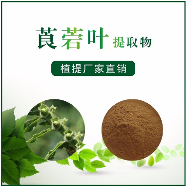 莨菪叶提取物,Leaf extract of scopoletin