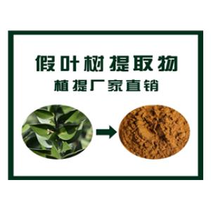 假叶树提取物,Butcher‘s Broom extract