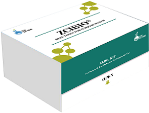 小鼠白细胞介素8（IL-8）ELISA试剂盒,Mouse IL-8 ELISA Kit