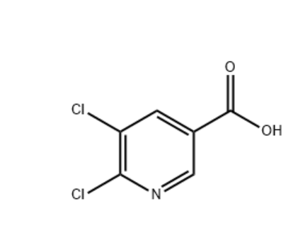 5，6-二氯烟酸,5,6-Dichloronicotinic acid