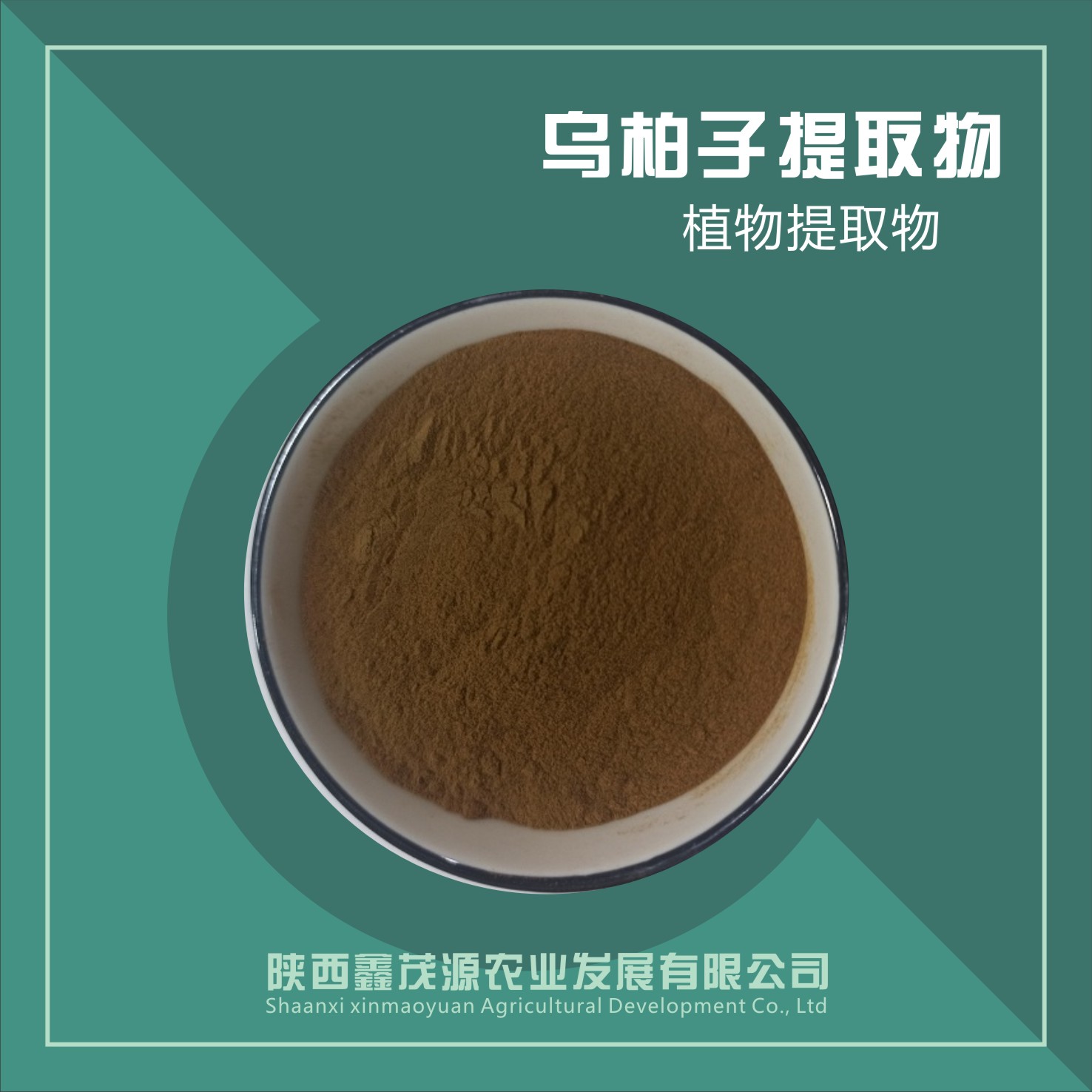 乌柏子提取物,Extract of Black berry seed