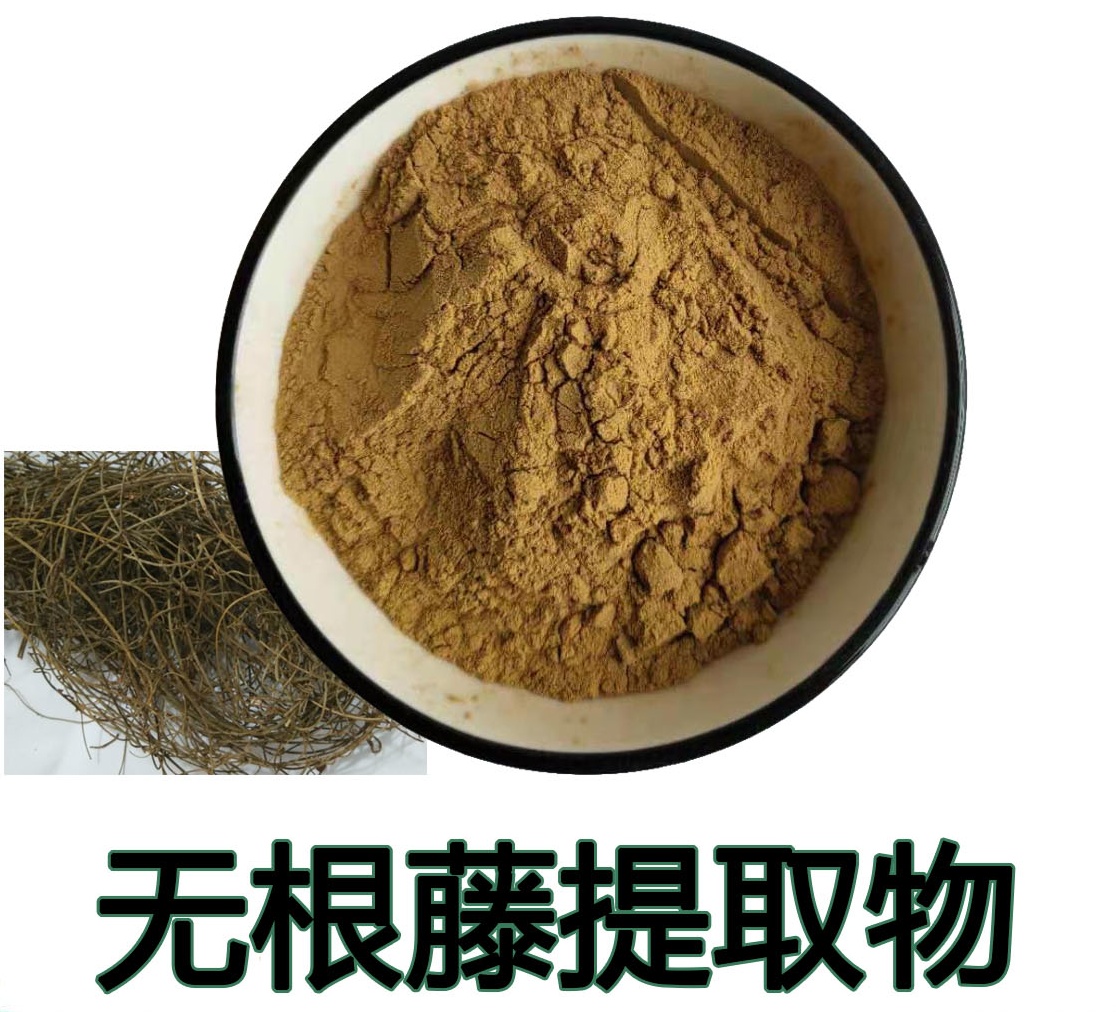 無(wú)根藤提取物,Rootless vine extract