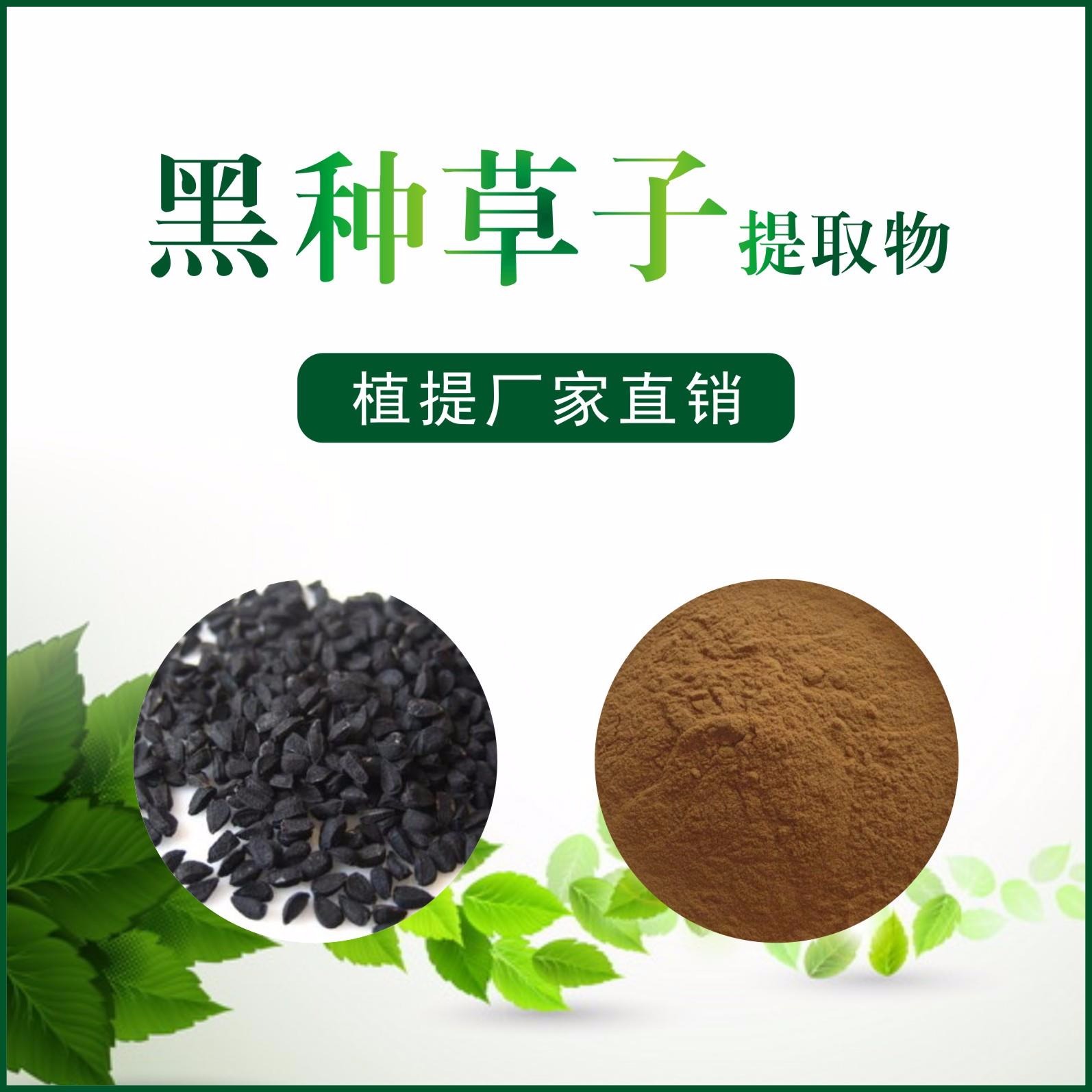 黑种草子提取物,Nigellae Semen extract