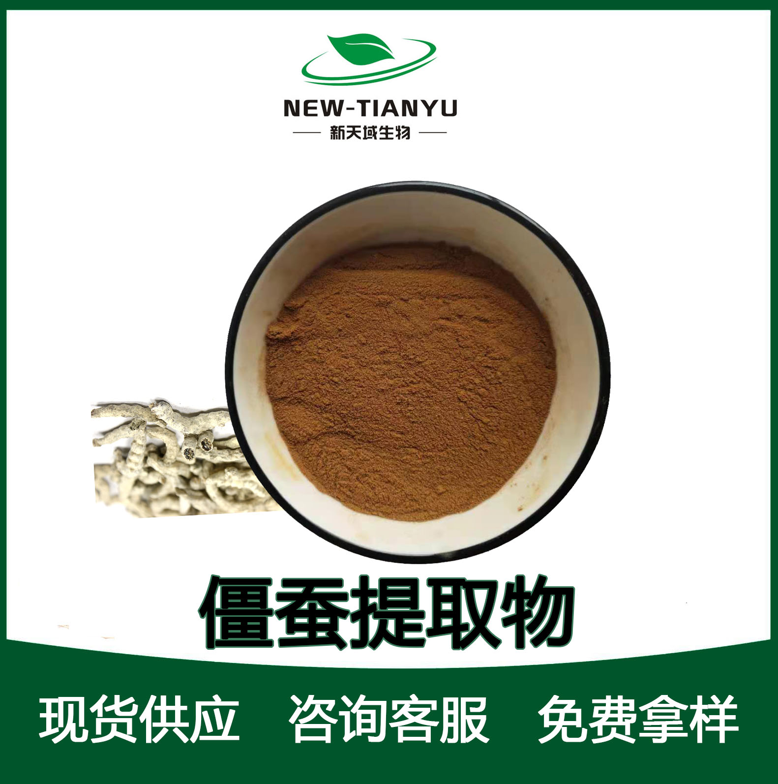 僵蚕提取物,Bombyx Batryticatus extract