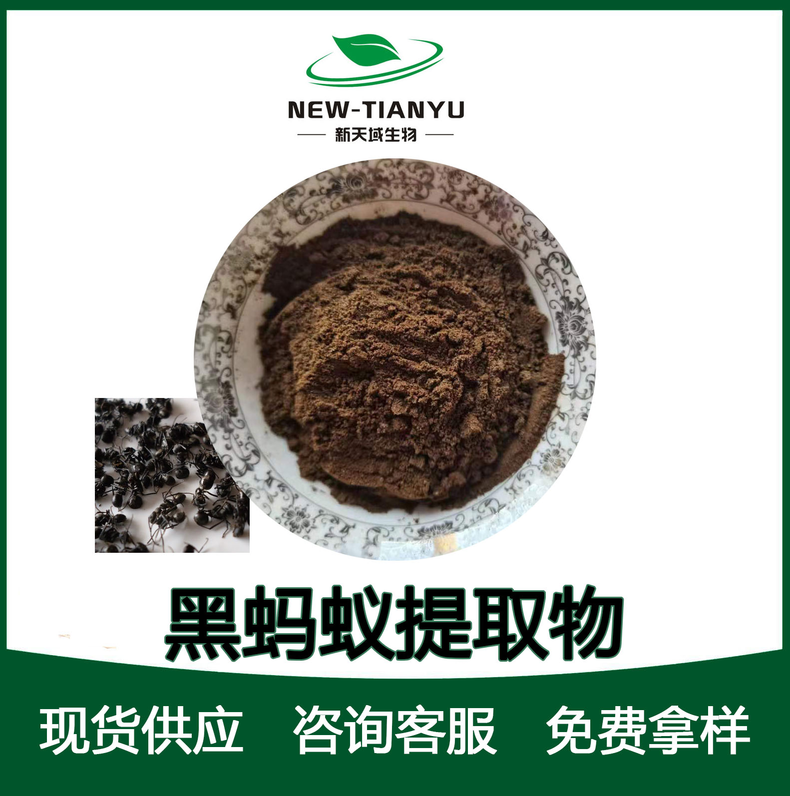 黑蚂蚁提取物,Black ant extract