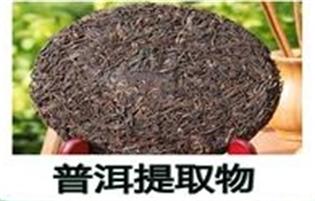 普洱茶提取物,Pu 'er tea extract