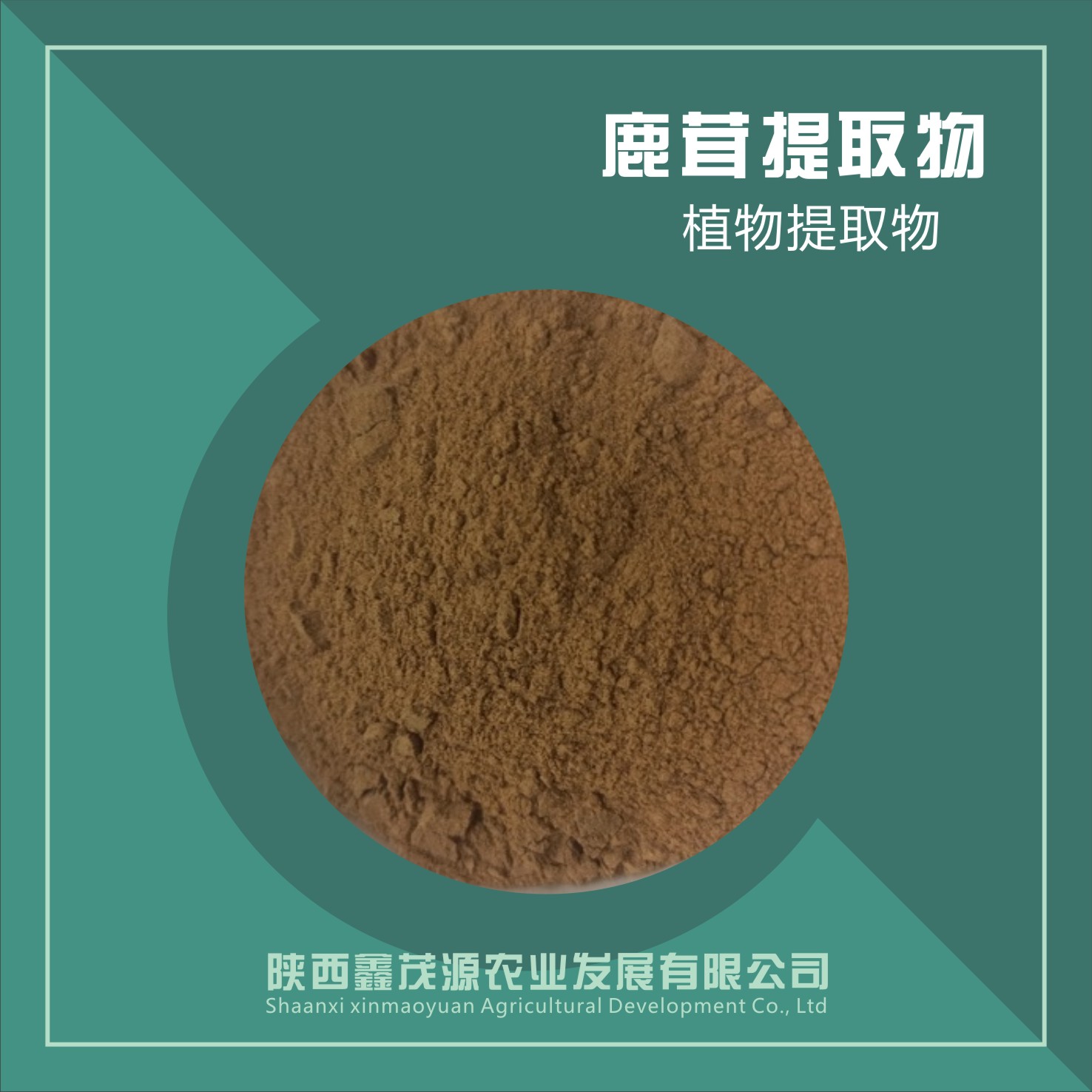 鹿茸提取物,Antler extract