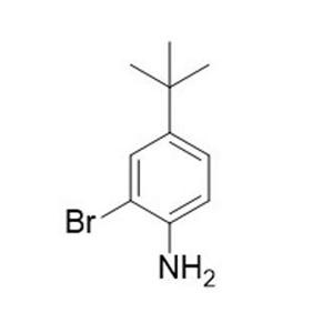 2-碘-4-叔丁基苯胺,4-tert-Butyl-2-iodo-aniline