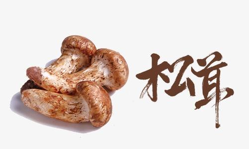 特级松茸香精,MATSUTAKE