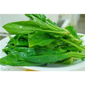 菠菜香精,Spinach essence