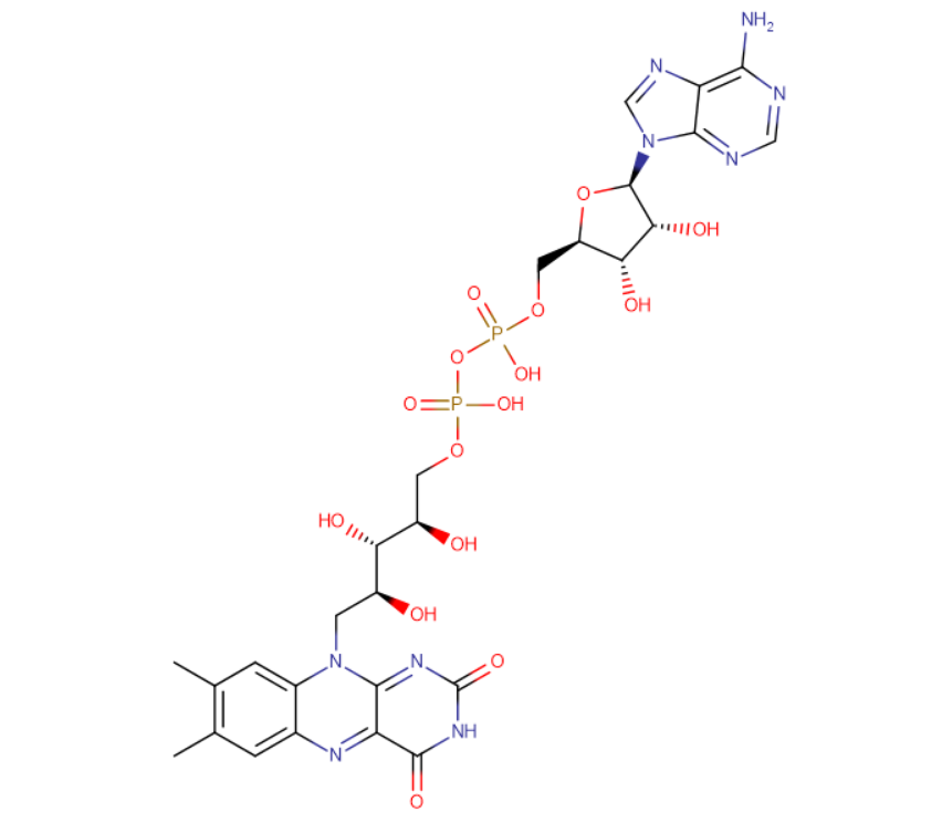 腺嘌呤黄素二核苷酸,FLAVIN ADENINE DINUCLEOTIDE