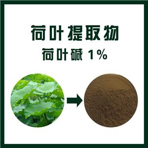 荷叶提取物,Lotus leaf extract