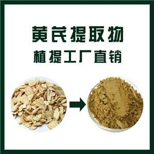 黄芪提取物,Astragalus root extract