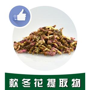 款冬花提取物,Farfara flower extract