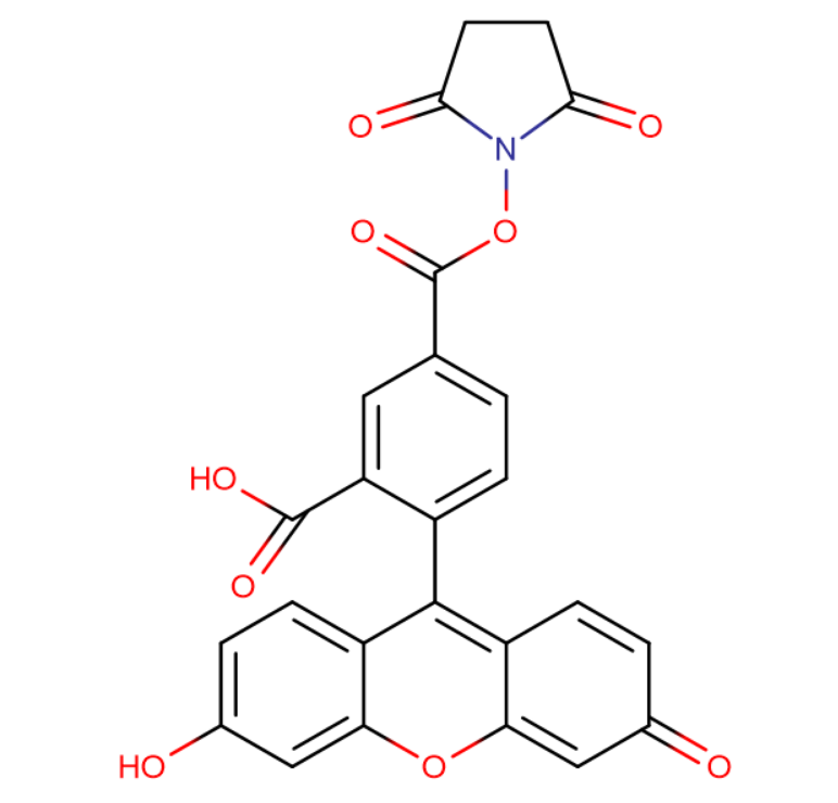 5-羧基荧光素琥珀酰亚胺酯,5-Carboxyfluorescein N-succinimidyl ester