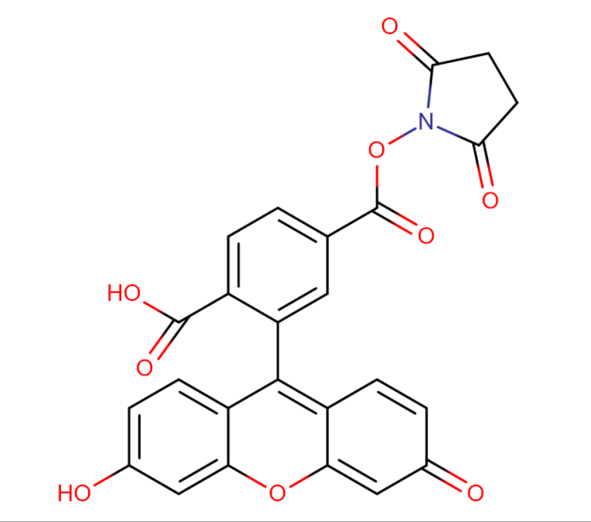 6-羧基荧光素琥珀酰亚胺醚,6-CARBOXYFLUORESCEIN N-SUCCINIMIDYL ESTER