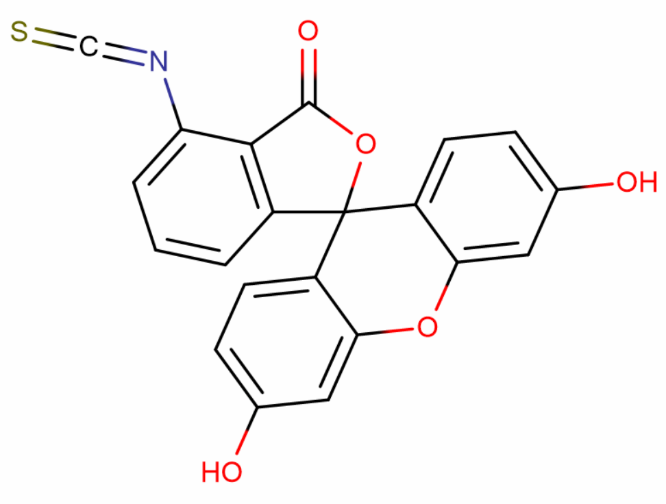 6-异硫氰酸荧光素,3',6'-Dihydroxy-6-isothiocyanatospiro[isobenzofuran-1(3H),9'-[9H]xanthen]-3-one