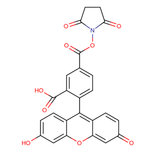 5-羧基荧光素琥珀酰亚胺酯